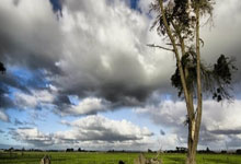 -哥伦比亚战胜委内瑞拉，胜利在望