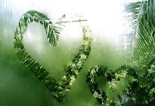 埃及遭遇激烈对抗，险胜索马里晋级