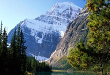 无所畏惧！日本运动员破纪录夺冠，激起热烈掌声