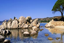 战火重燃！瑞典选手上演逆转好戏，震惊世界